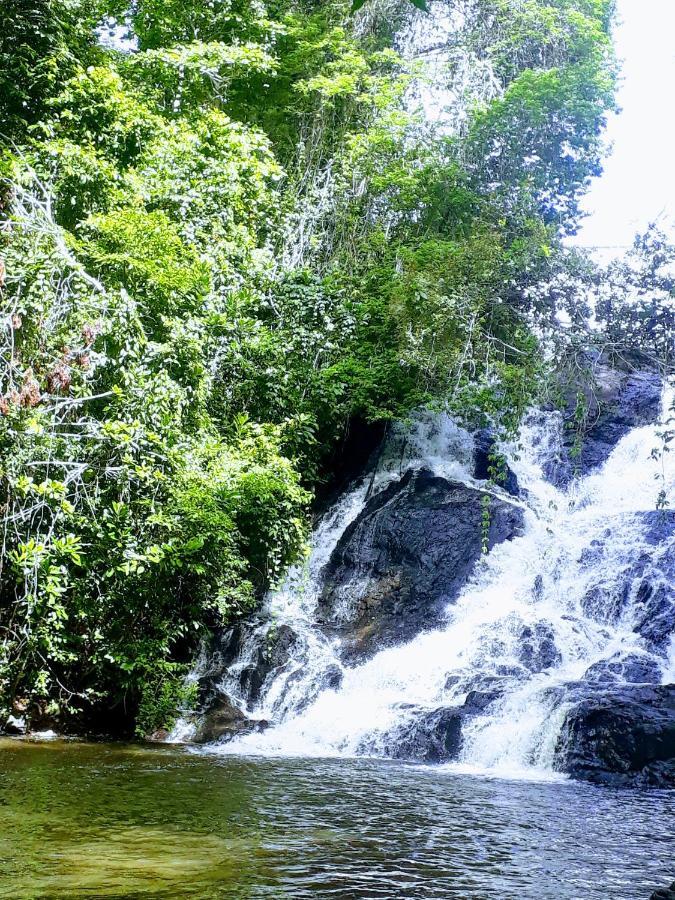 فندق Paraiso Da Mata Itacaré المظهر الخارجي الصورة